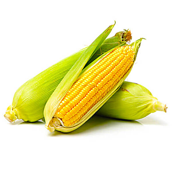 玉米饲料工业级